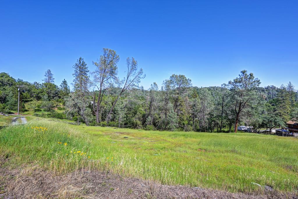 4751 Meadowview Acres Road Cool, CA 95614 - Photo 4 of 51 a view of a grassy field with trees in the background