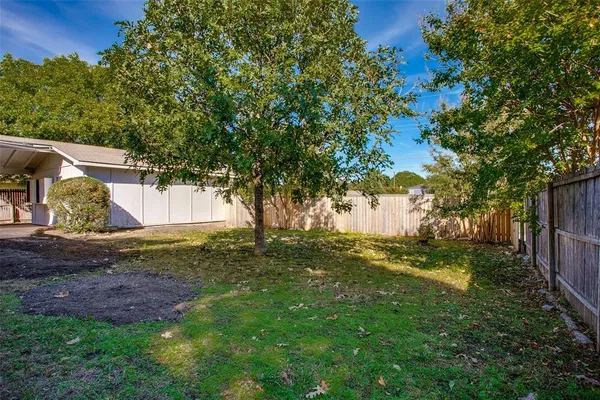 a view of a yard with plants and trees