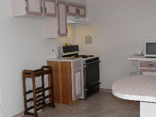 8632 Ida Center Road Ida, MI 48140 - Photo 12 of 18 544719-11.JPG