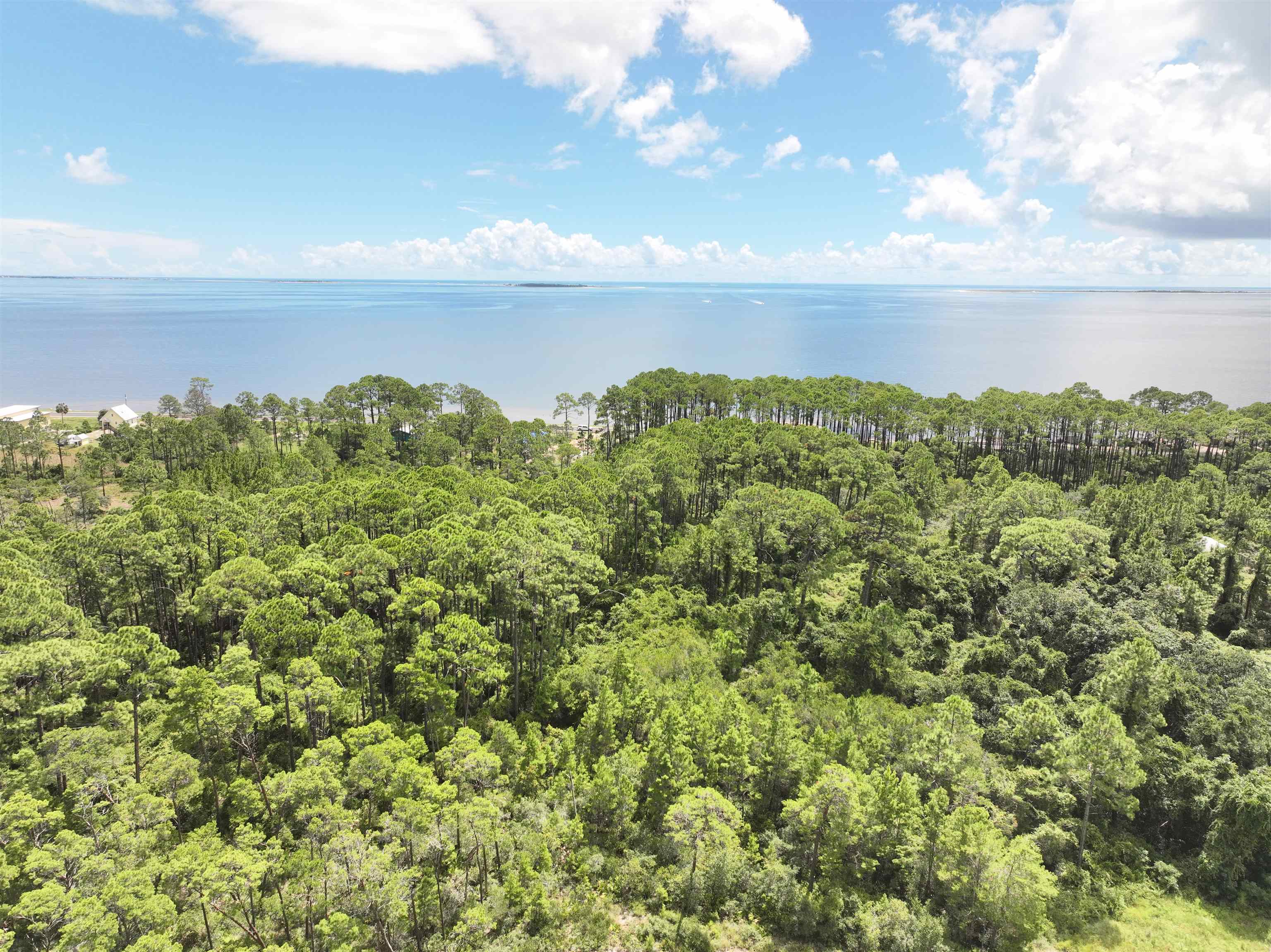 Xx Woodill Road Carrabelle, FL 32322 - Photo 1 of 10 Gallery Image 1