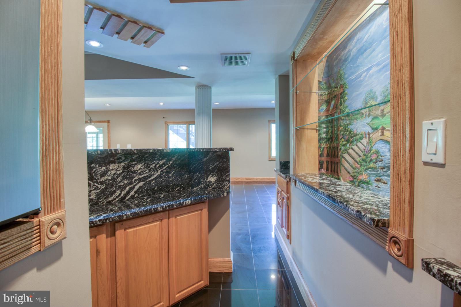 14016 Harrisville Road Mount Airy, MD 21771 - Photo 49 of 69 Lower level bar