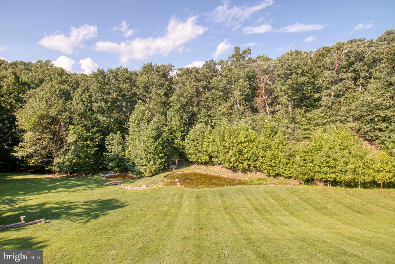 14016 Harrisville Road Mount Airy, MD 21771 - Photo 10 of 69 View from back deck