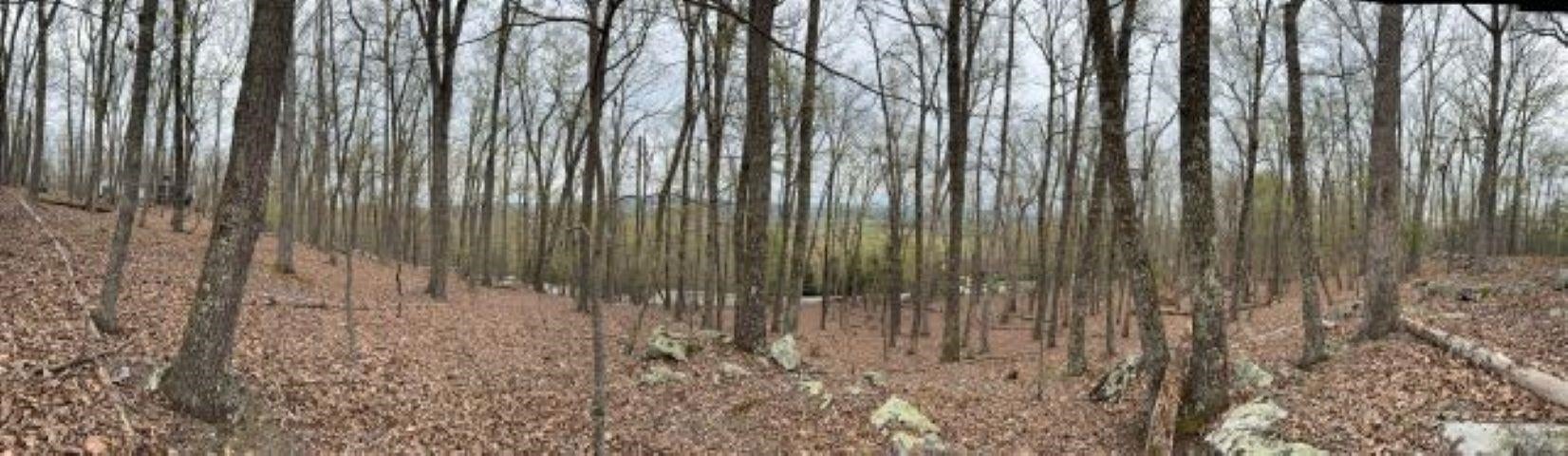 Lot 62 Rhea Ridge Drive Blacksburg, VA 24060 - Photo 6 of 9 Gallery Image 6