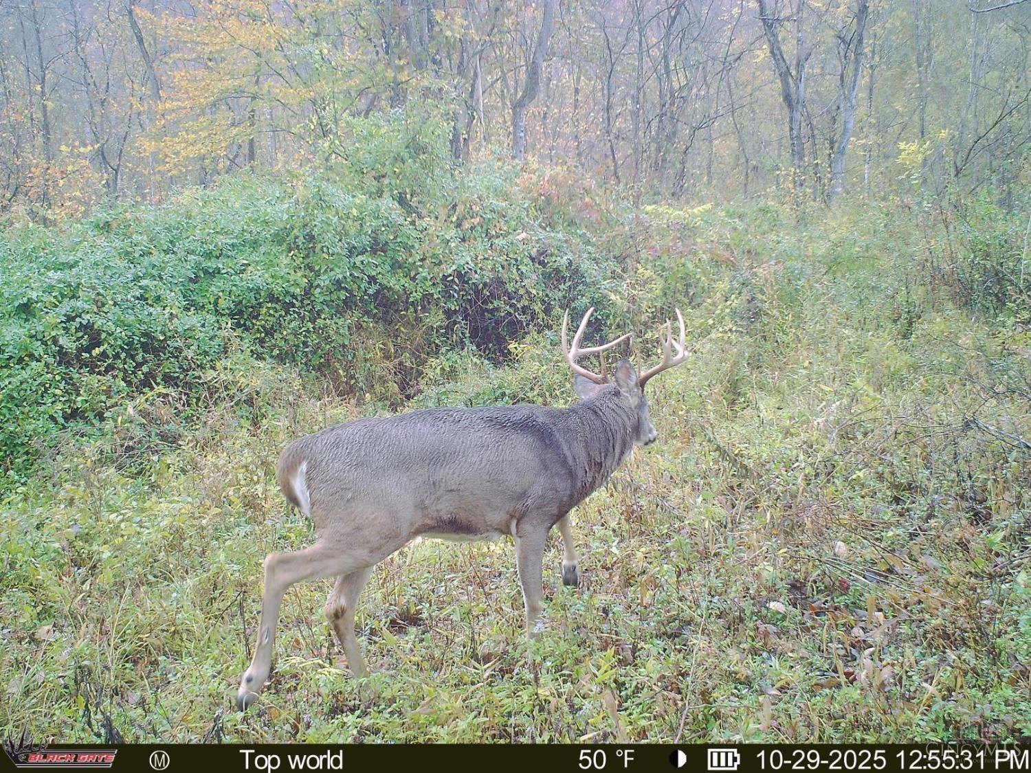 A Enley Road McDermott, OH 45652 - Photo 32 of 97