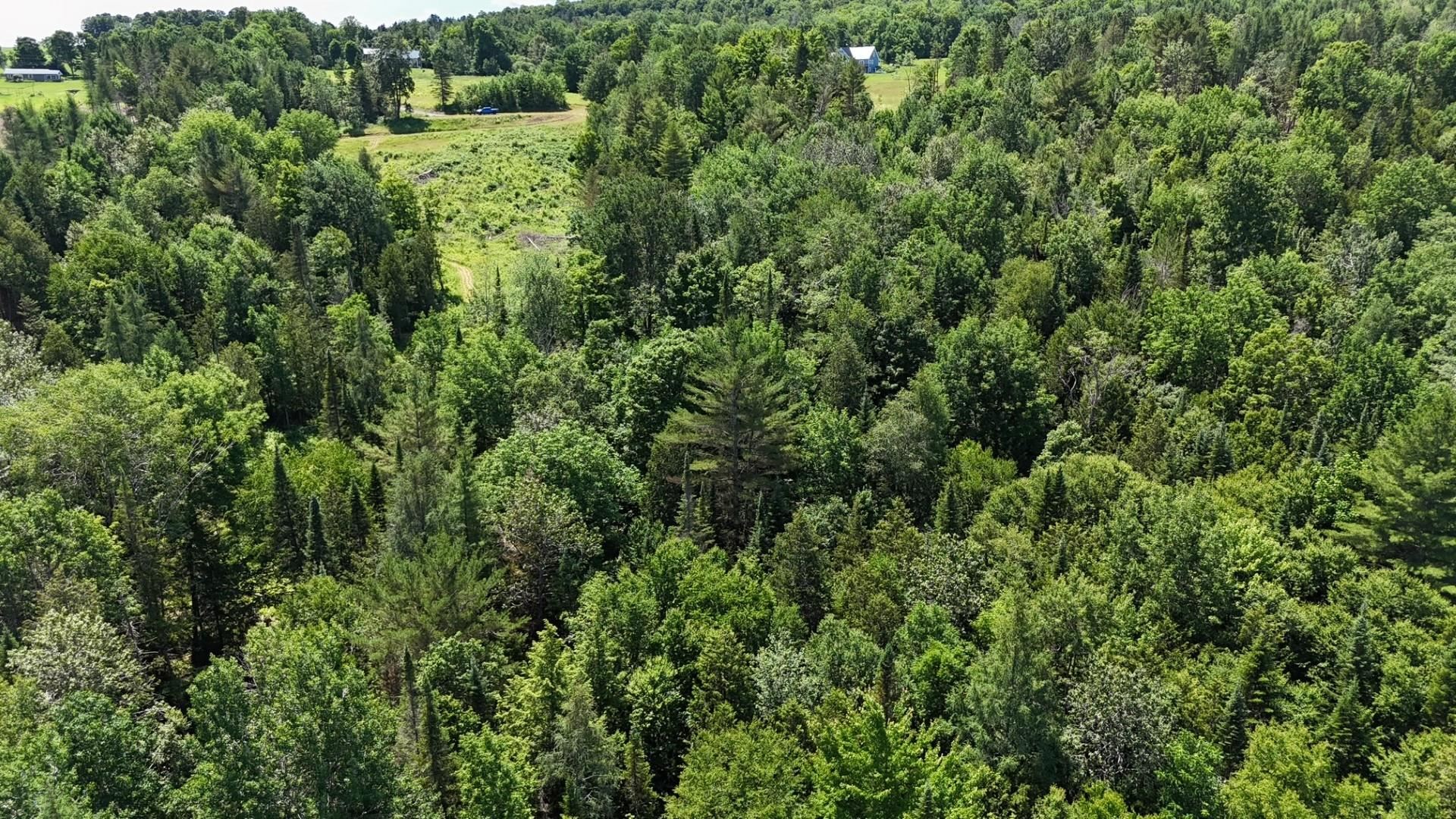 Tbd Stevens Road Barton, VT 05875 - Photo 13 of 50