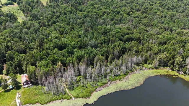 $268,000 | Tbd Stevens Road, Barton, VT 05875