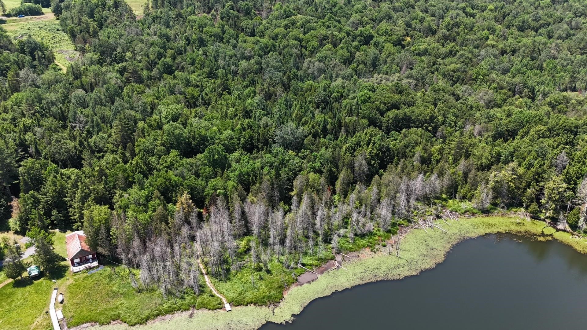 Tbd Stevens Road Barton, VT 05875 - Photo 14 of 50