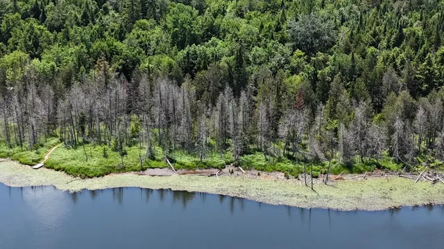 $268,000 | Tbd Stevens Road, Barton, VT 05875