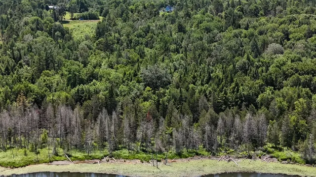 $268,000 | Tbd Stevens Road, Barton, VT 05875