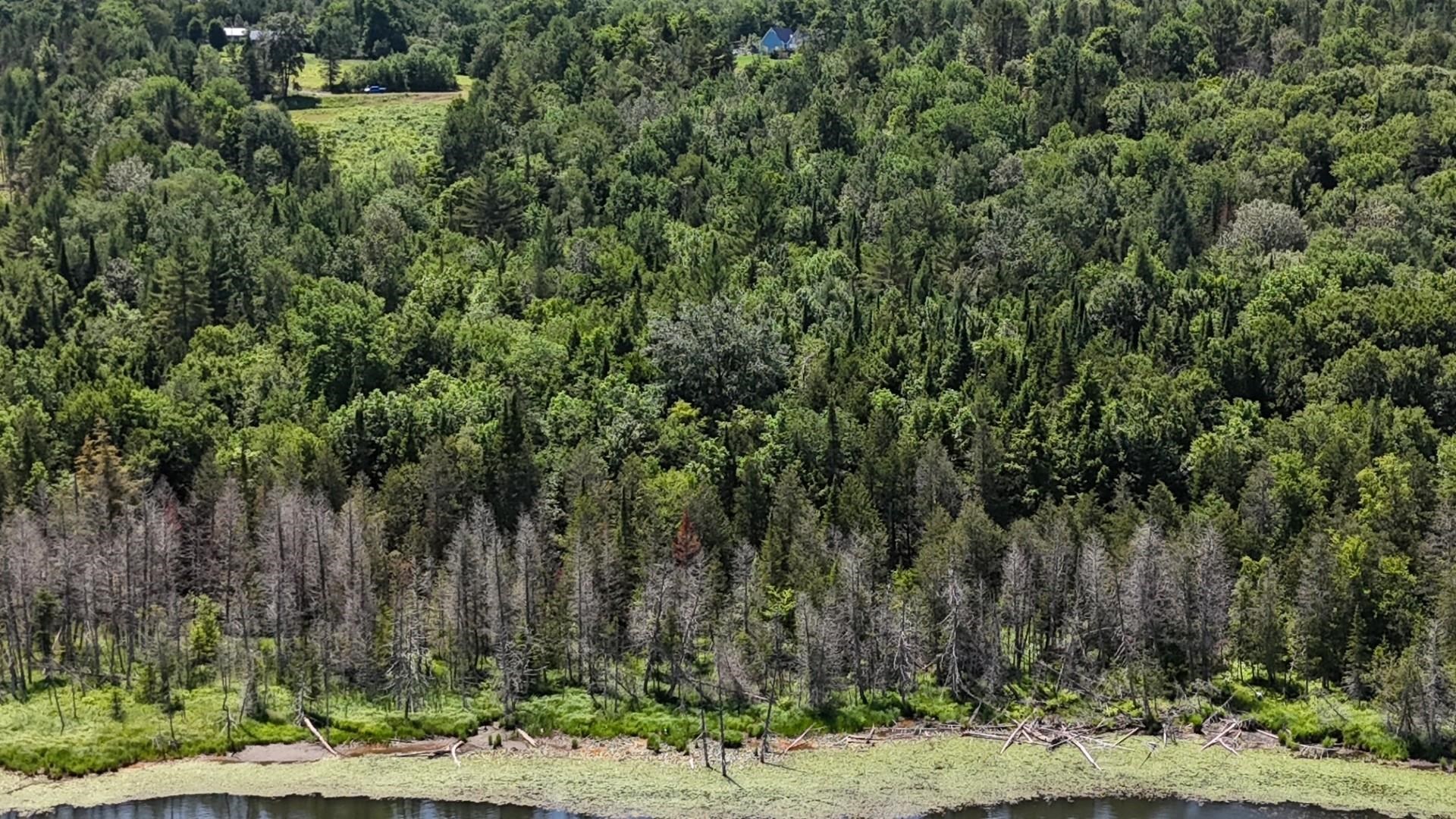 Tbd Stevens Road Barton, VT 05875 - Photo 17 of 50