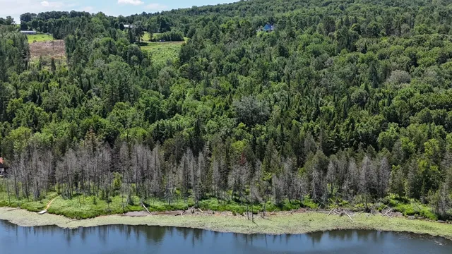 $268,000 | Tbd Stevens Road, Barton, VT 05875