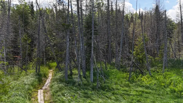 $268,000 | Tbd Stevens Road, Barton, VT 05875