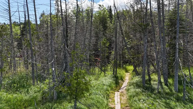 $268,000 | Tbd Stevens Road, Barton, VT 05875