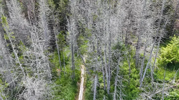 $249,000 | Tbd Stevens Road, Barton, VT 05875