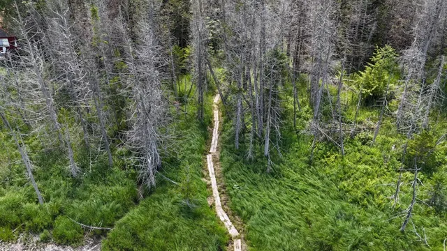 $268,000 | Tbd Stevens Road, Barton, VT 05875