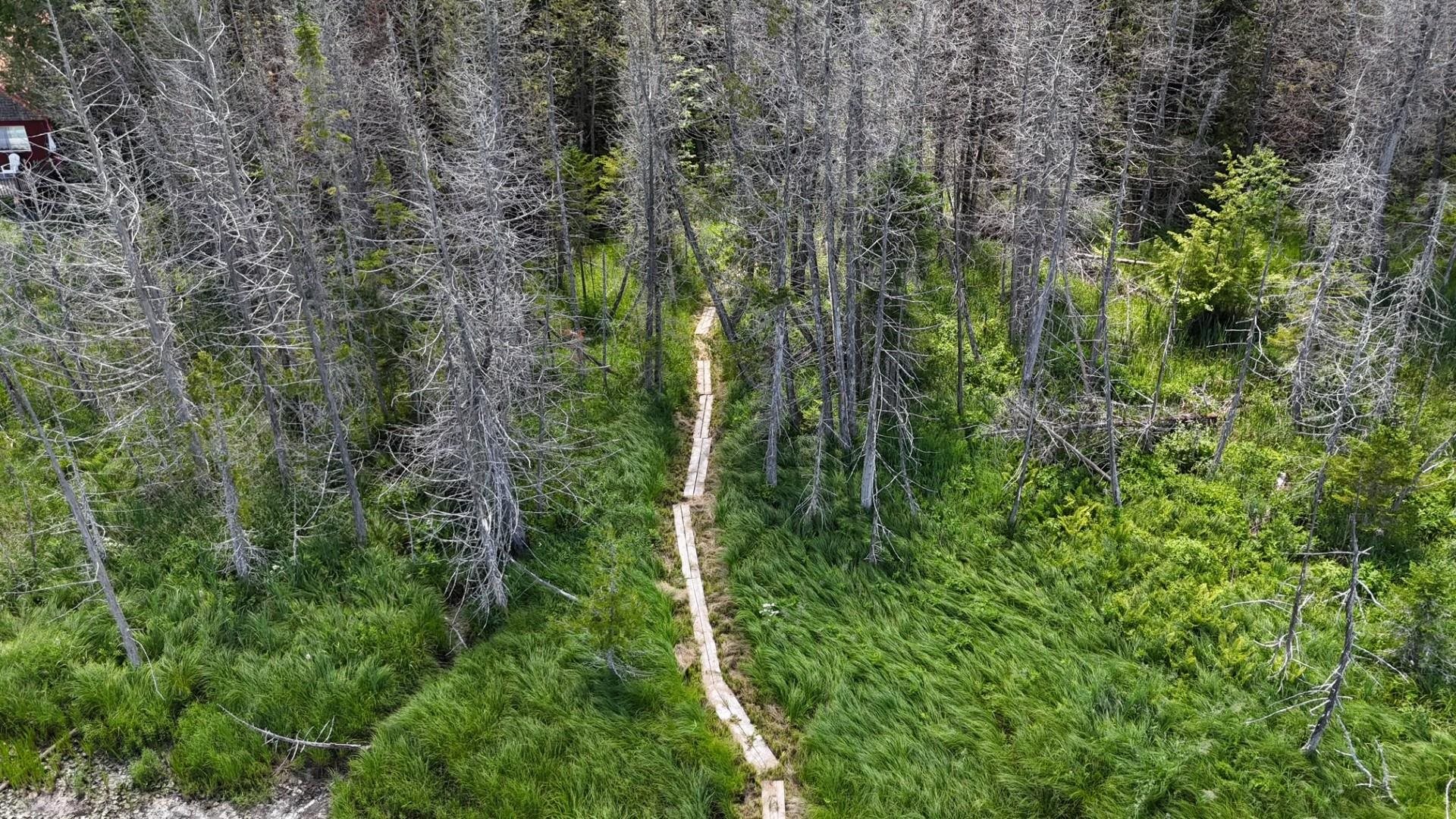 Tbd Stevens Road Barton, VT 05875 - Photo 24 of 50