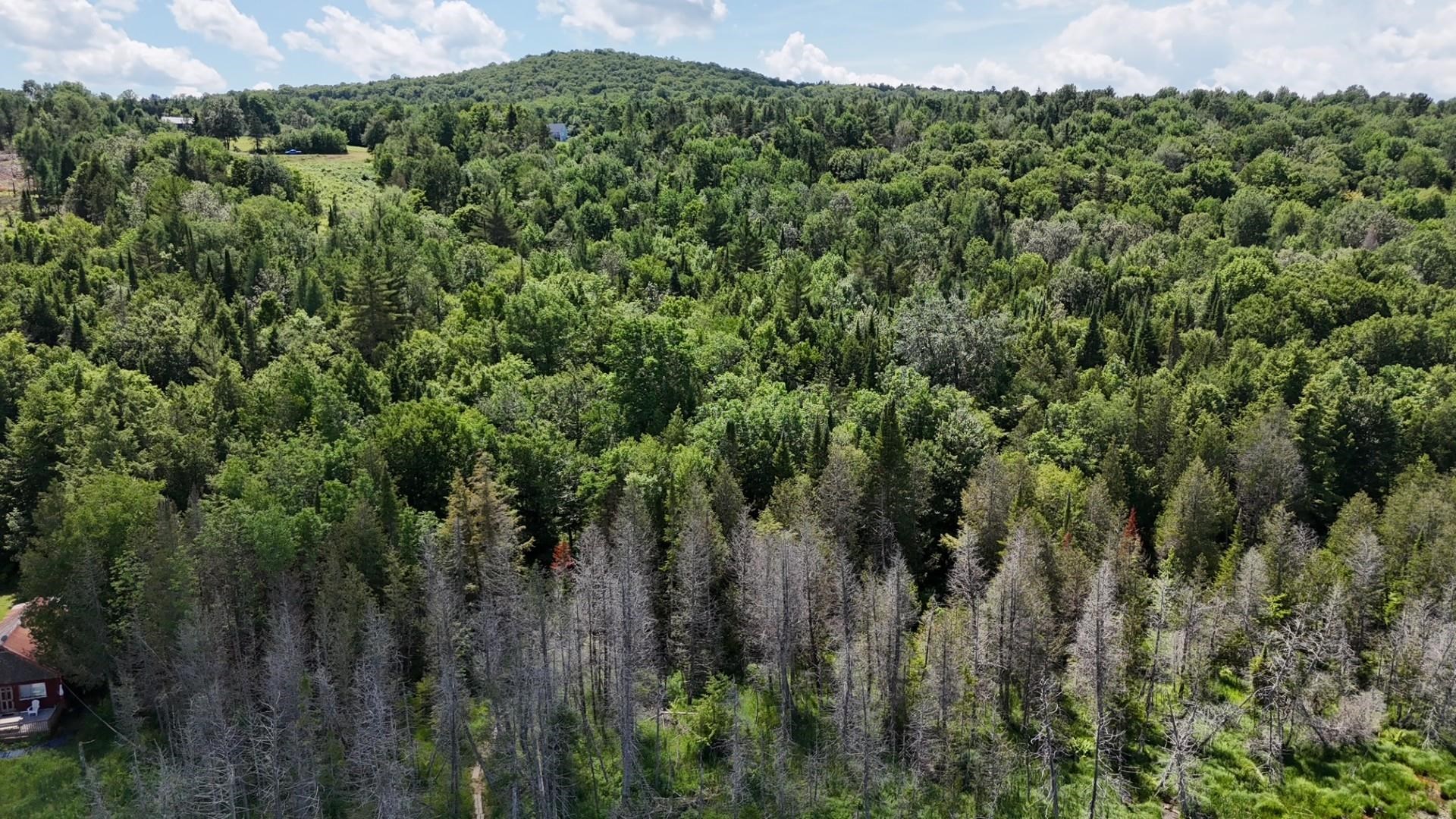 Tbd Stevens Road Barton, VT 05875 - Photo 27 of 50