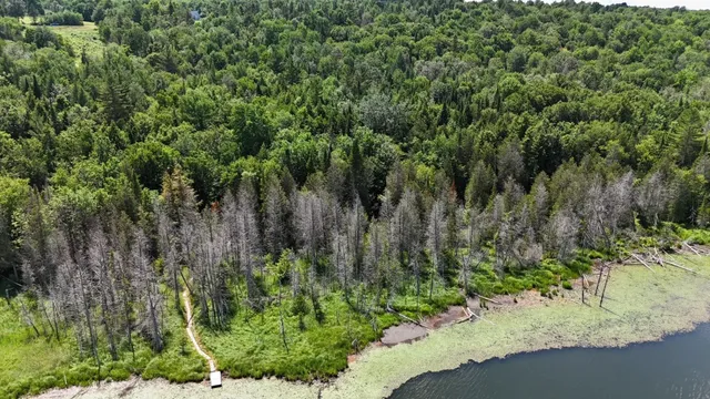 $268,000 | Tbd Stevens Road, Barton, VT 05875