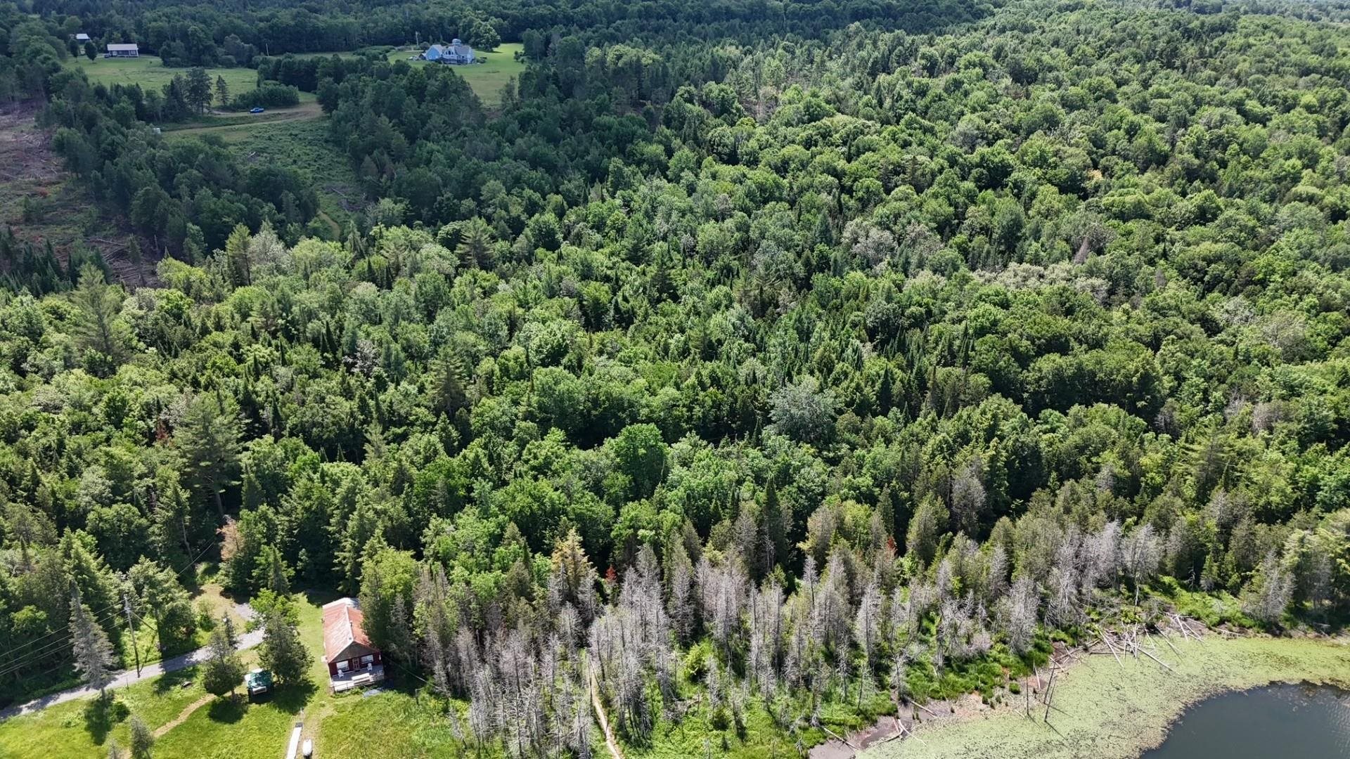 Tbd Stevens Road Barton, VT 05875 - Photo 32 of 50