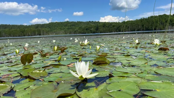 $249,000 | Tbd Stevens Road, Barton, VT 05875