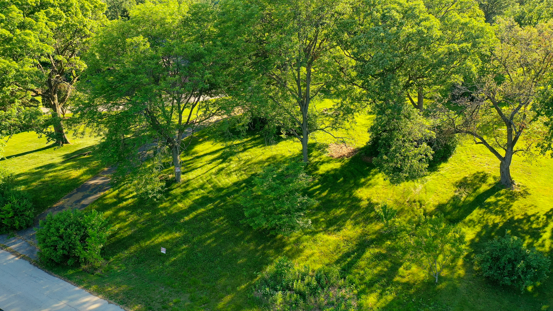 2 Paddock Lemont, IL 60439 - Photo 4 of 12