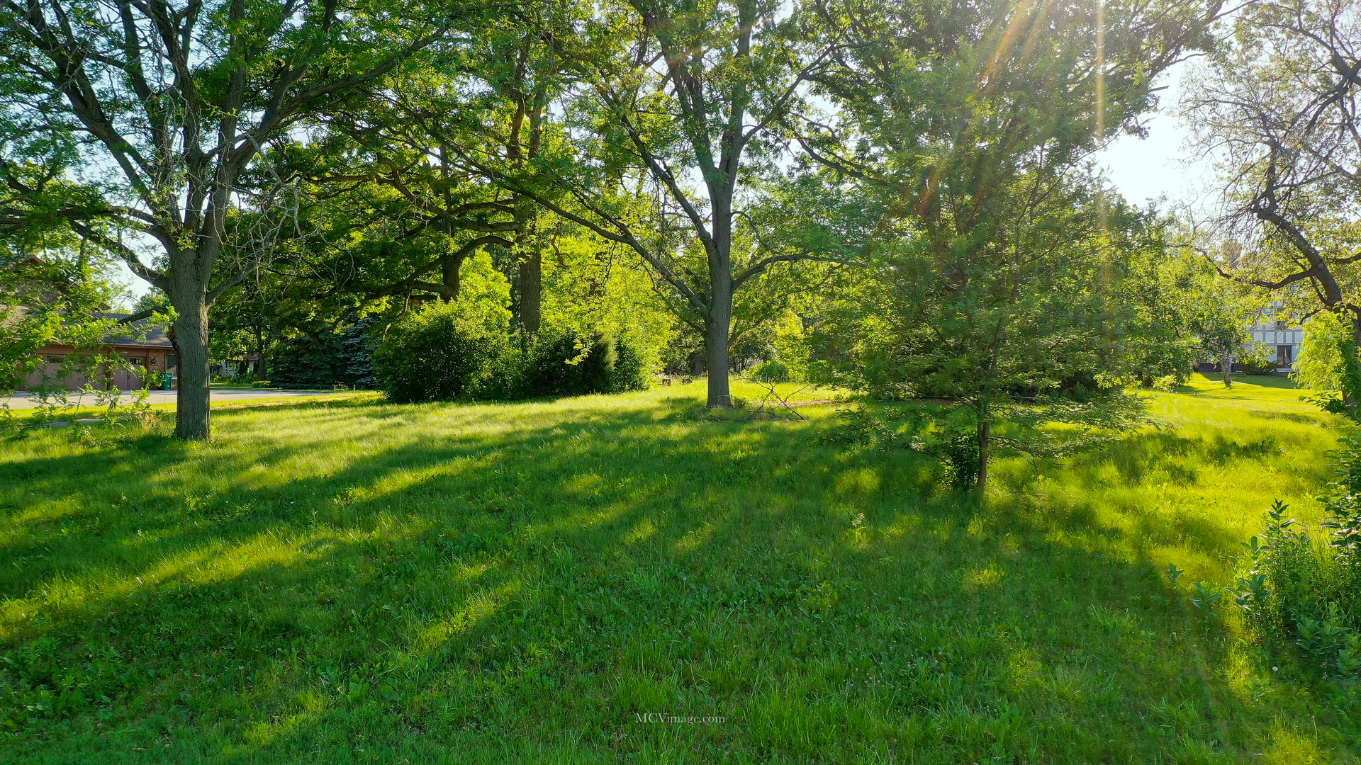 2 Paddock Lemont, IL 60439 - Photo 5 of 12 a view of yard with trees
