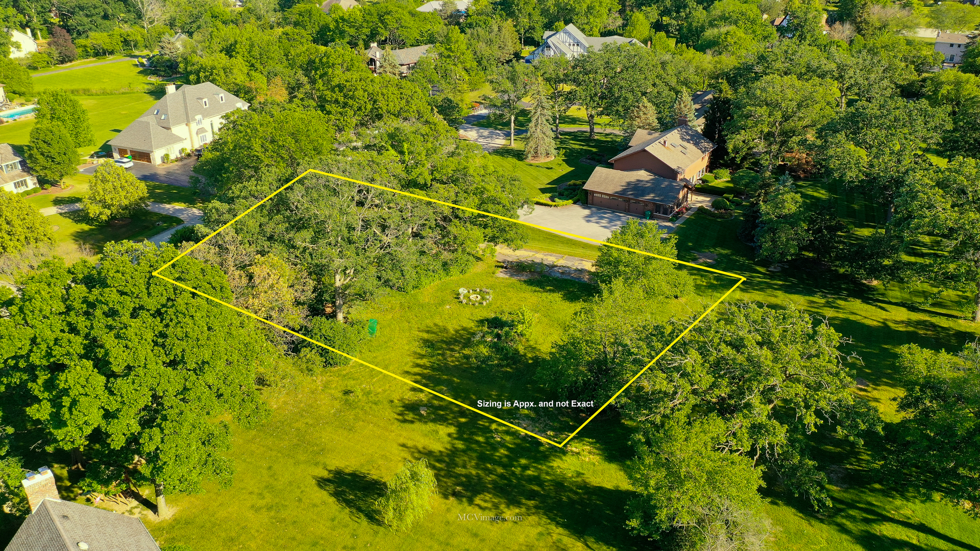 2 Paddock Lemont, IL 60439 - Photo 7 of 12 a view of a plant in a garden