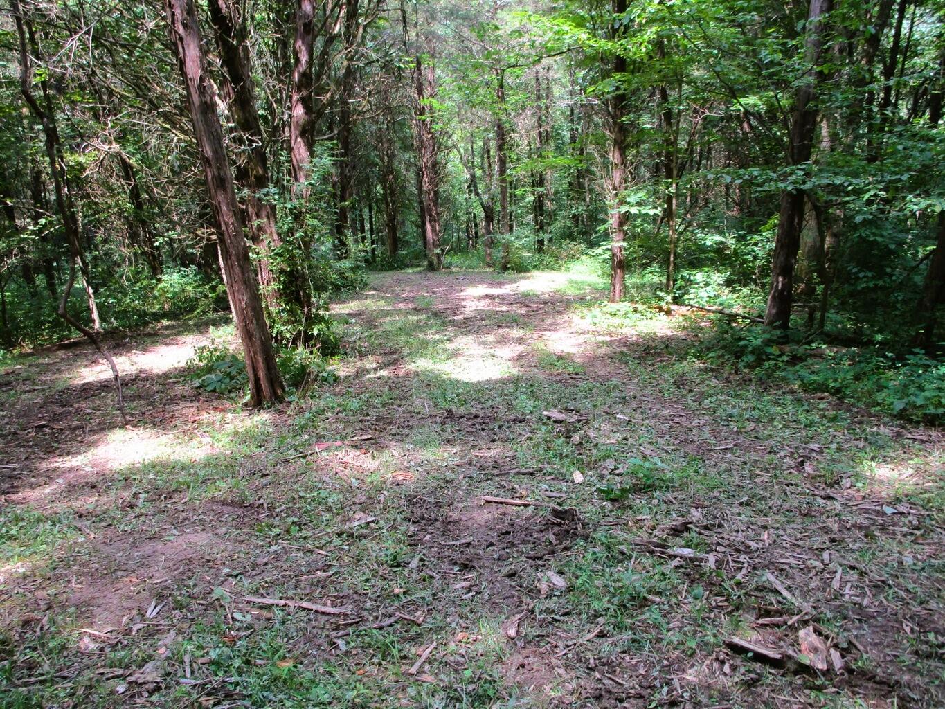 11.5-ac Osborne Road Dry Ridge, KY 41035 - Photo 22 of 38 Osborne 21