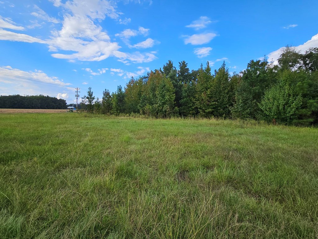 6193 Bloomville Road Manning, SC 29102 - Photo 5 of 19