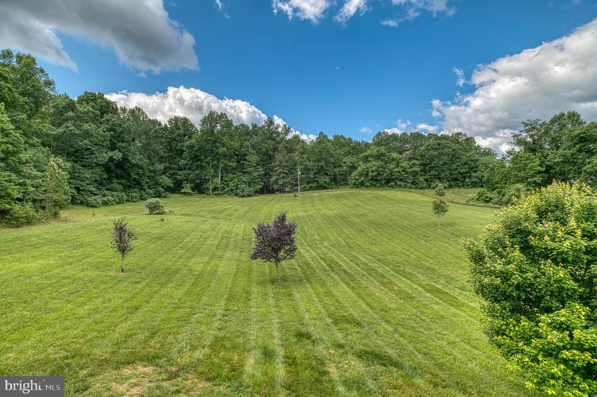 12111 Obannons Mill Road Boston, VA 22713 - Photo 54 of 54
