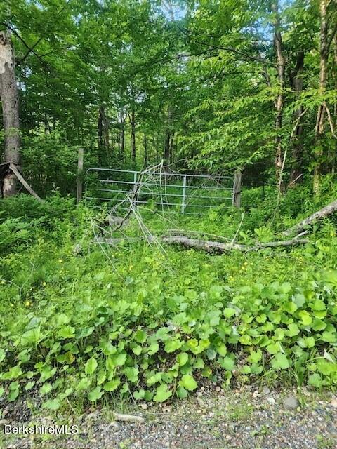 Matteau Road Hinsdale, MA 01235 - Photo 1 of 20 Matteau Road lot