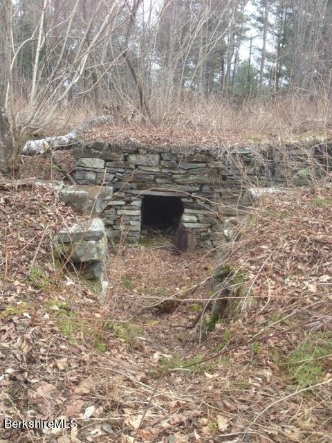 Matteau Road Hinsdale, MA 01235 - Photo 17 of 20 by-gone stone foundations