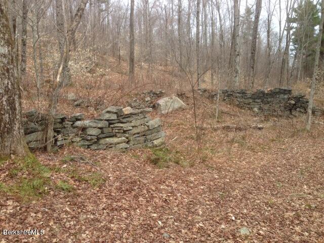 Matteau Road Hinsdale, MA 01235 - Photo 18 of 20 open areas