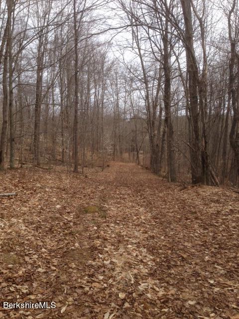 Matteau Road Hinsdale, MA 01235 - Photo 8 of 20 logging trails