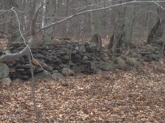 Matteau Road Hinsdale, MA 01235 - Photo 10 of 20 stone walls