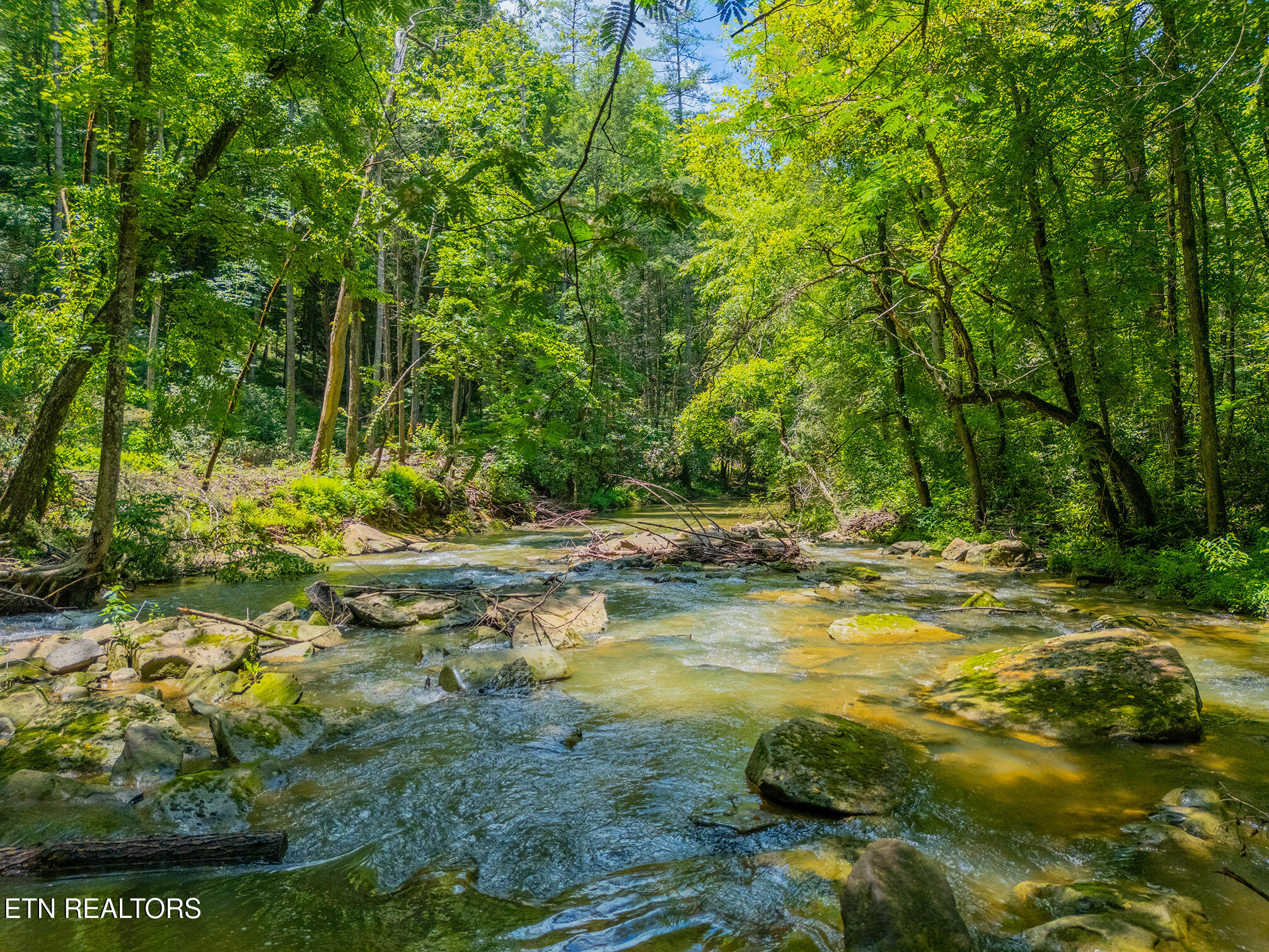 118 Authorn Sheldon Road Harriman, TN 37748 - Photo 14 of 59 28 - DJI_20250617142213_0954_D-HDR