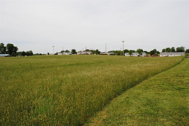 6248 Mt Zion Road London, KY 40741 - Photo 35 of 55 Photo 35