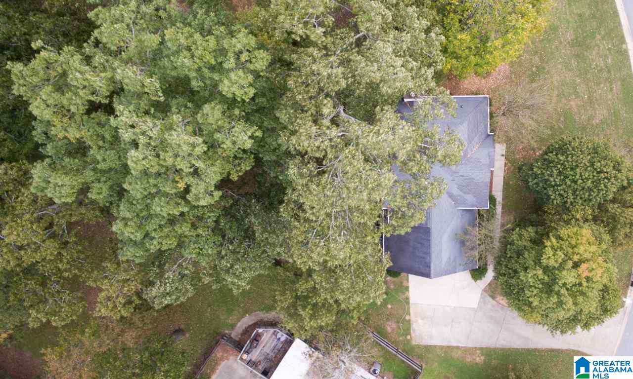 121 King Charles Way Alabaster, AL 35007 - Photo 46 of 48