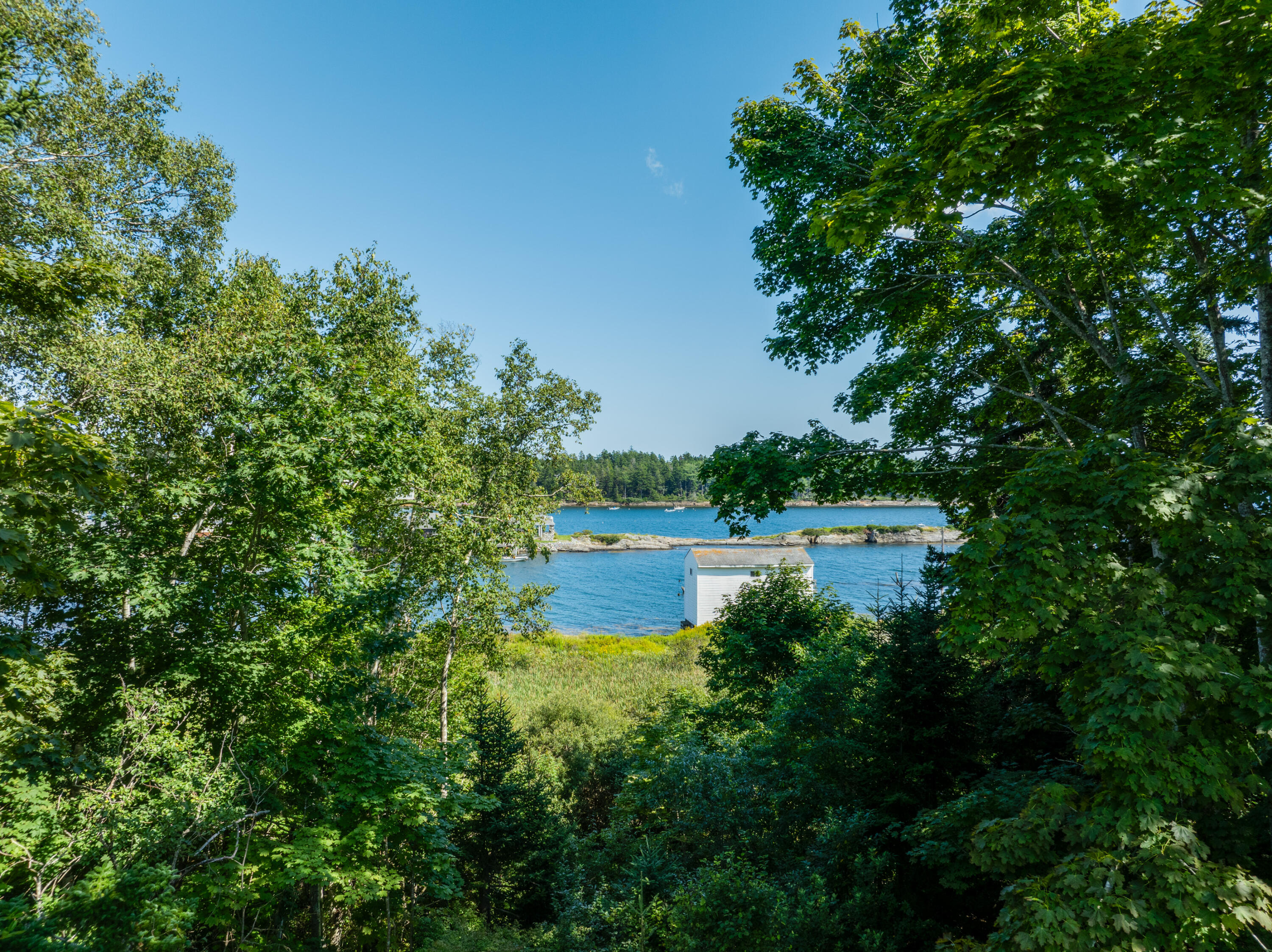 7 Leeman Road Orrs Island, ME 04066 - Photo 24 of 50 Chickadee Imagery-60