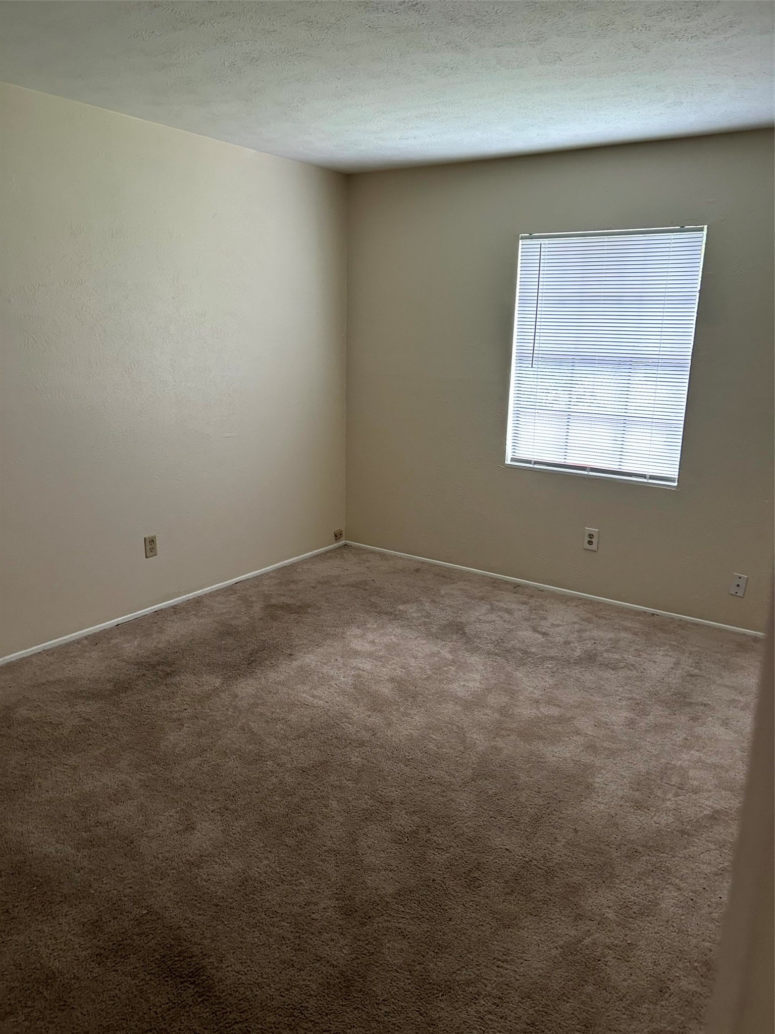 5018 Ridgecreek Drive Houston, TX 77053 - Photo 7 of 18 an empty room with windows