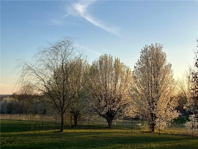 $325,000 | 540 Northwest Uu Highway, Centerview, MO 64019