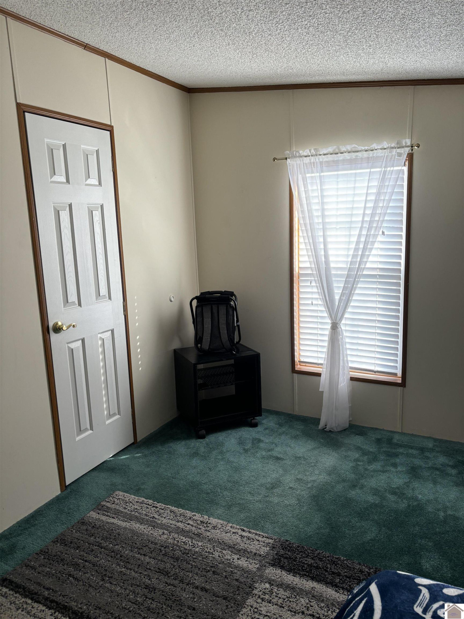 254 A H Clements Road Marion, KY 42064 - Photo 17 of 31 Guest Bedroom 2