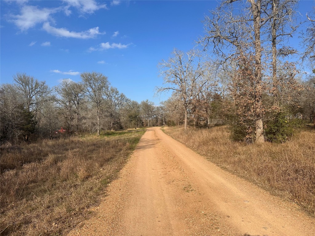 a view of mountain view with trees