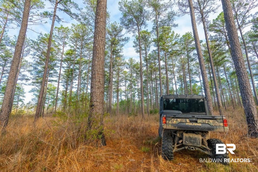 0 Private Road Millry, AL 36558 - Photo 48 of 50