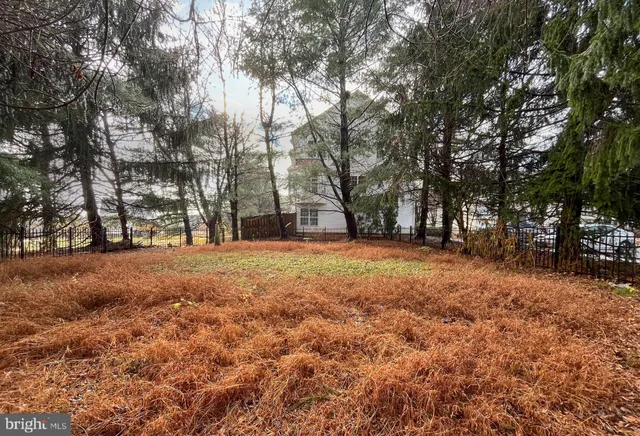 a view of outdoor space with trees