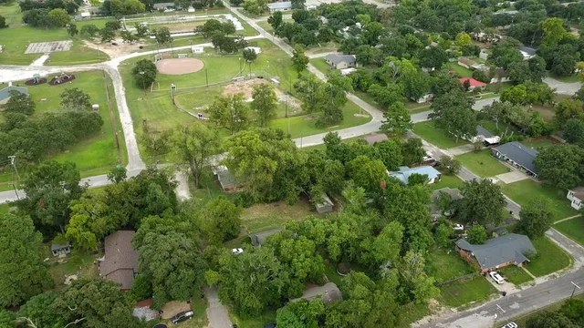 a close up of a flower plants and large tree