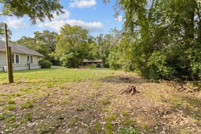 a view of a yard with plants and trees