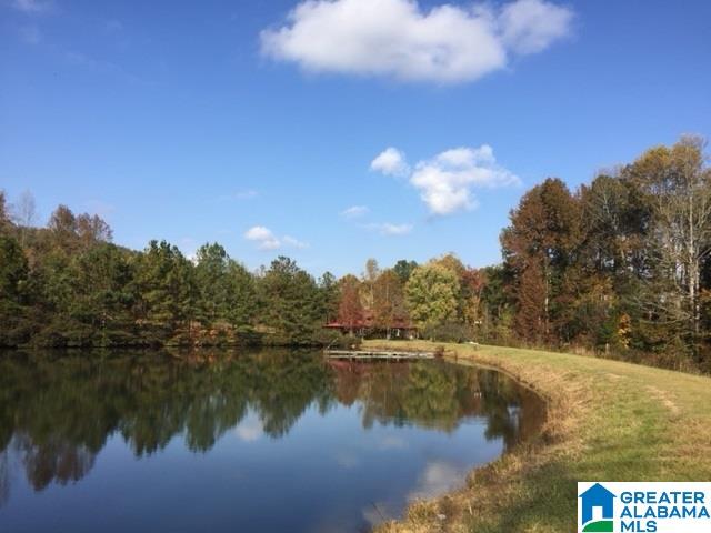 295 Horsley Road Ashville, AL 35953 - Photo 1 of 20