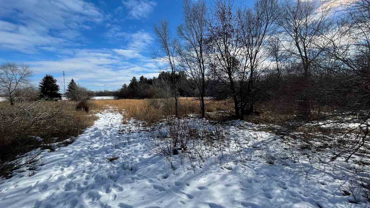420 North Fenmore Road Merrill, MI 48637 - Photo 55 of 60 1883524-54.JPG