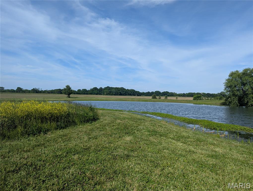 1434 Mulberry Grove Road Mulberry Grove, IL 62262 - Photo 10 of 45